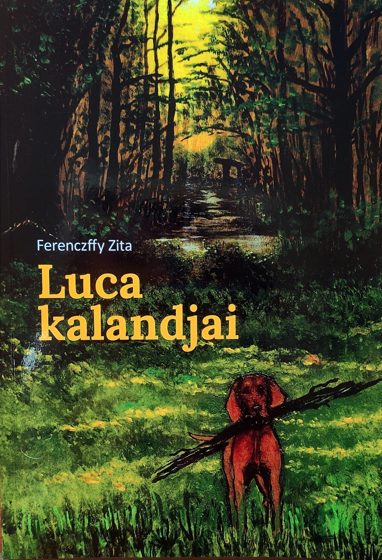 Könyv Ferenczffy Zita Luca Kalandjai